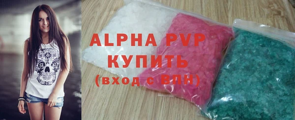 стаф Чекалин