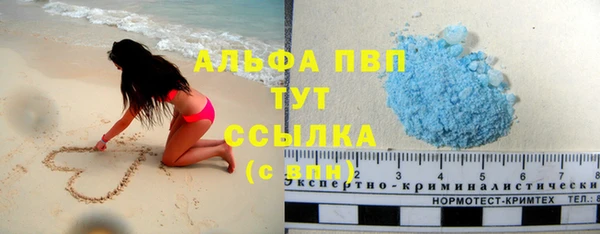 стаф Чекалин