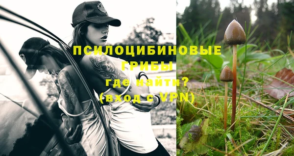 ГАЛЛЮЦИНОГЕННЫЕ ГРИБЫ Чердынь