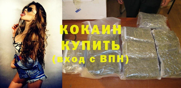 стаф Чекалин