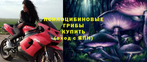 ГАЛЛЮЦИНОГЕННЫЕ ГРИБЫ Чердынь