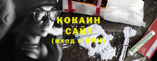 стаф Чекалин