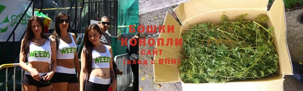 стаф Чекалин