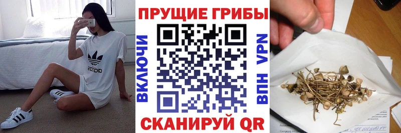 Псилоцибиновые грибы Cubensis  Брюховецкая 
